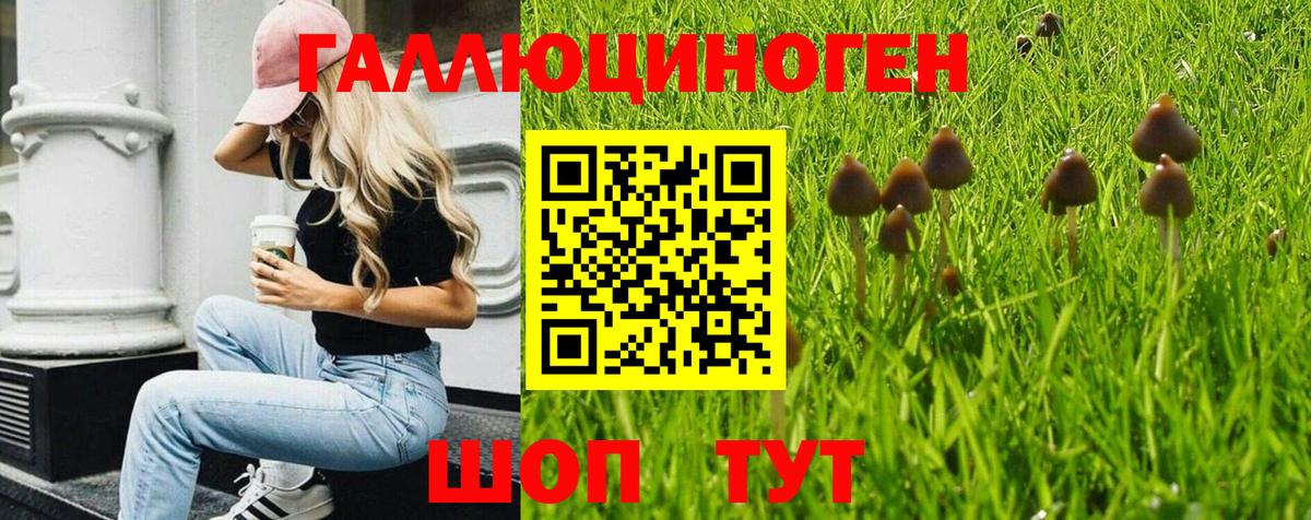 Майский  Галлюциногенные грибы MAGIC MUSHROOMS  Вход с VPN 
