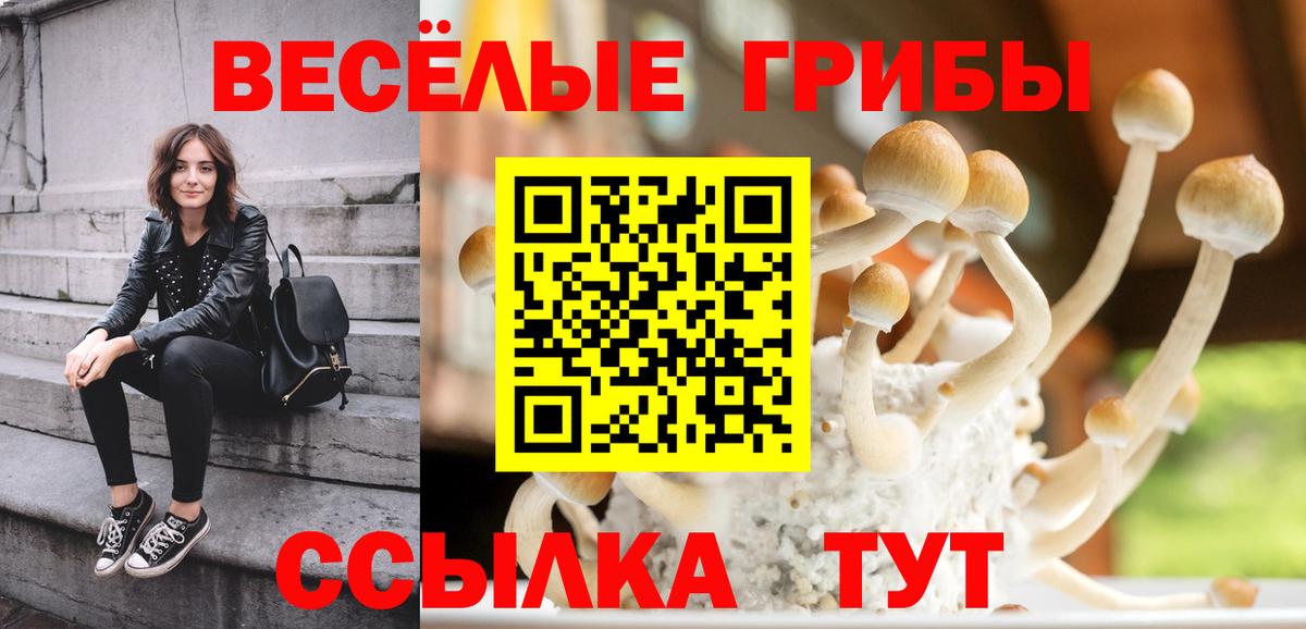 Псилоцибиновые грибы ЛСД Майский